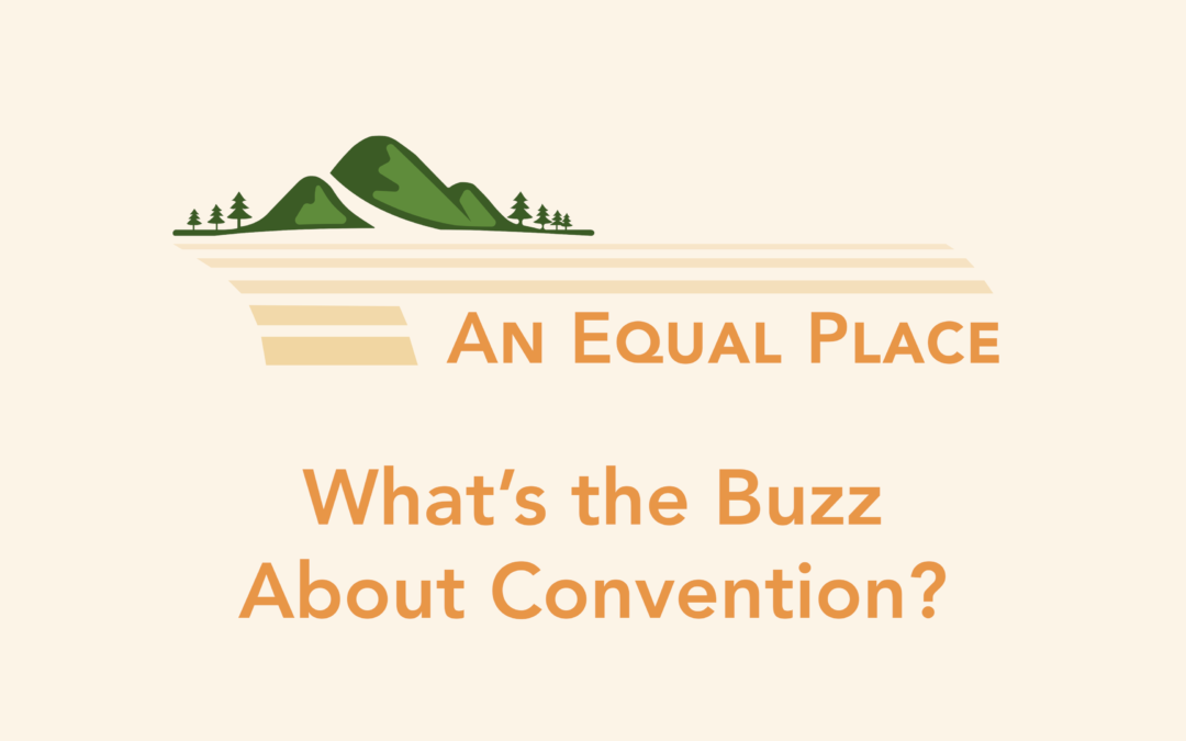 What’s the Buzz about Convention?